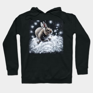 Rabbit playing with snow Hoodie